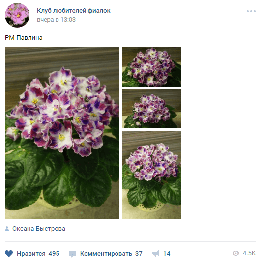 Фейковые подписчики 6.png Фейковые подписчики 6.png